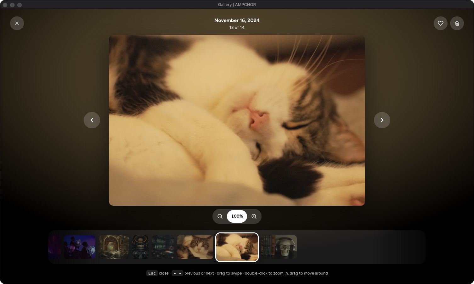 A photo open in the Gallery on a computer